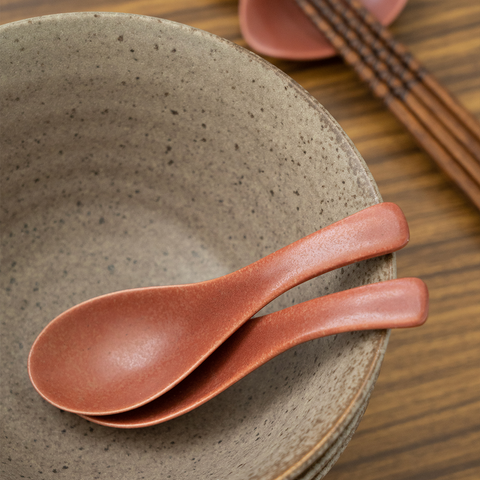 Embrace Tradition with LAKOLE: Discover Mino Ware Obanzai Tableware