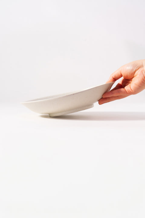 Mino Ware Organic Plate Medium