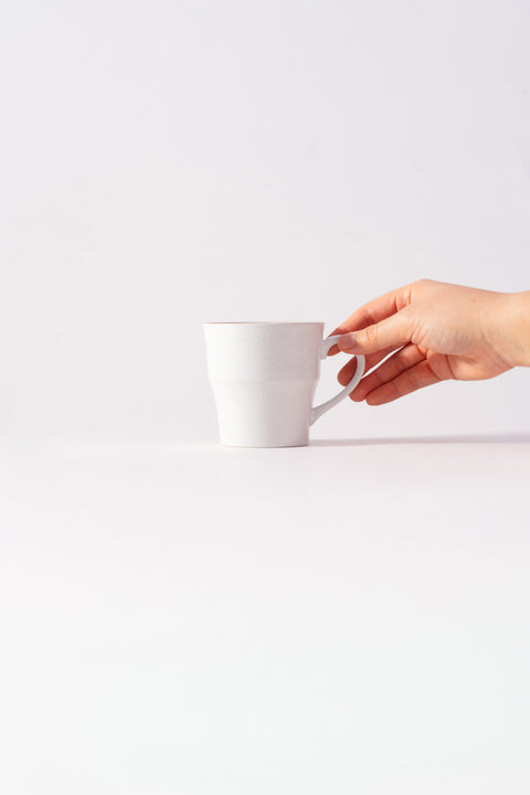 Mino Ware Colored Rim Mug