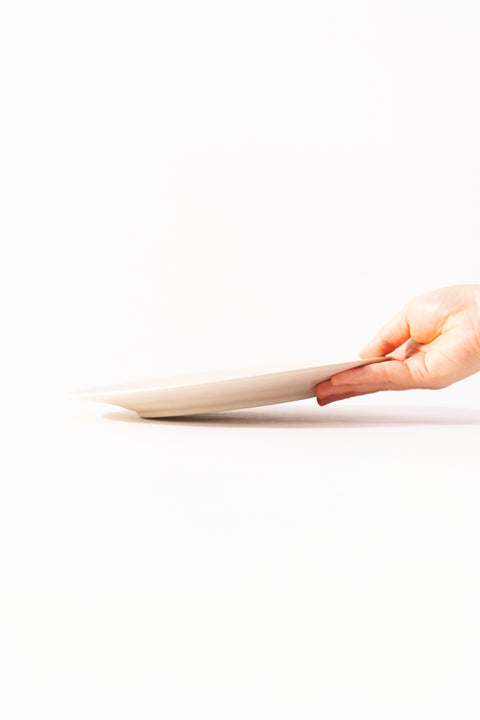 Mino Ware Matte Colored Rim Serving Plate Medium