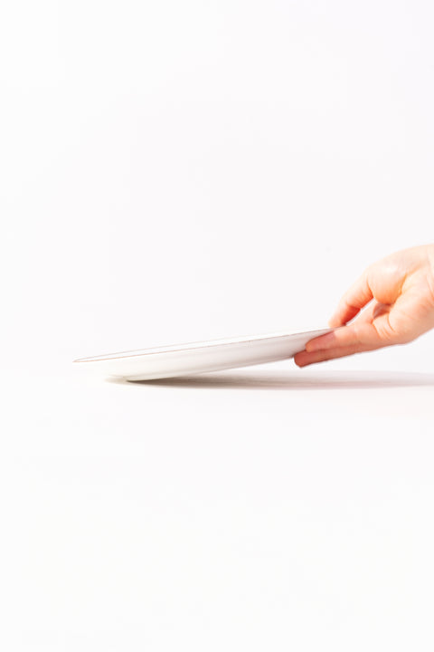 Mino Ware Colored Rim Plate Medium