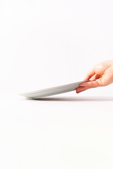 Mino Ware Colored Rim Plate Medium